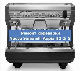 Чистка кофемашины Nuova Simonelli Appia II 2 Gr S от накипи в Москве